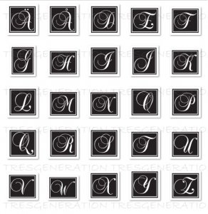 Square Frame Monogram Font Svg Alphabet Letter Only Pdf Png Dxf